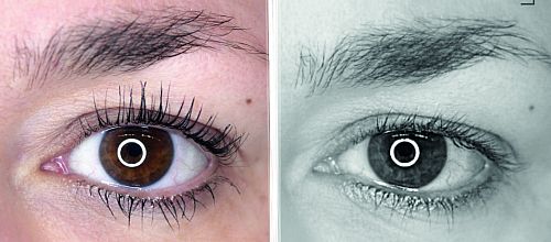 Luxuslashes Wimpern & Brauenlifting 